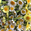 Silk daisy garland, mixed daisies