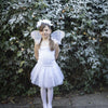White Sparkle Snow Fairy set