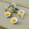 Daisy Pillow Boxes -  20 small daisies- available in white or pastel